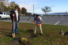 Day of Service at Kingston Point Beach