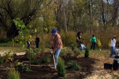 Day of Service at Kingston Point Beach