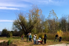 Day of Service at Kingston Point Beach