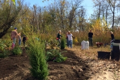 Day of Service at Kingston Point Beach