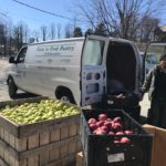 Farm to Food Pantry Cherry Gleaning