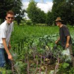 Farm to Food Pantry Greens Gleaning