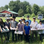 Farm to Food Pantry Blueberry Gleaning