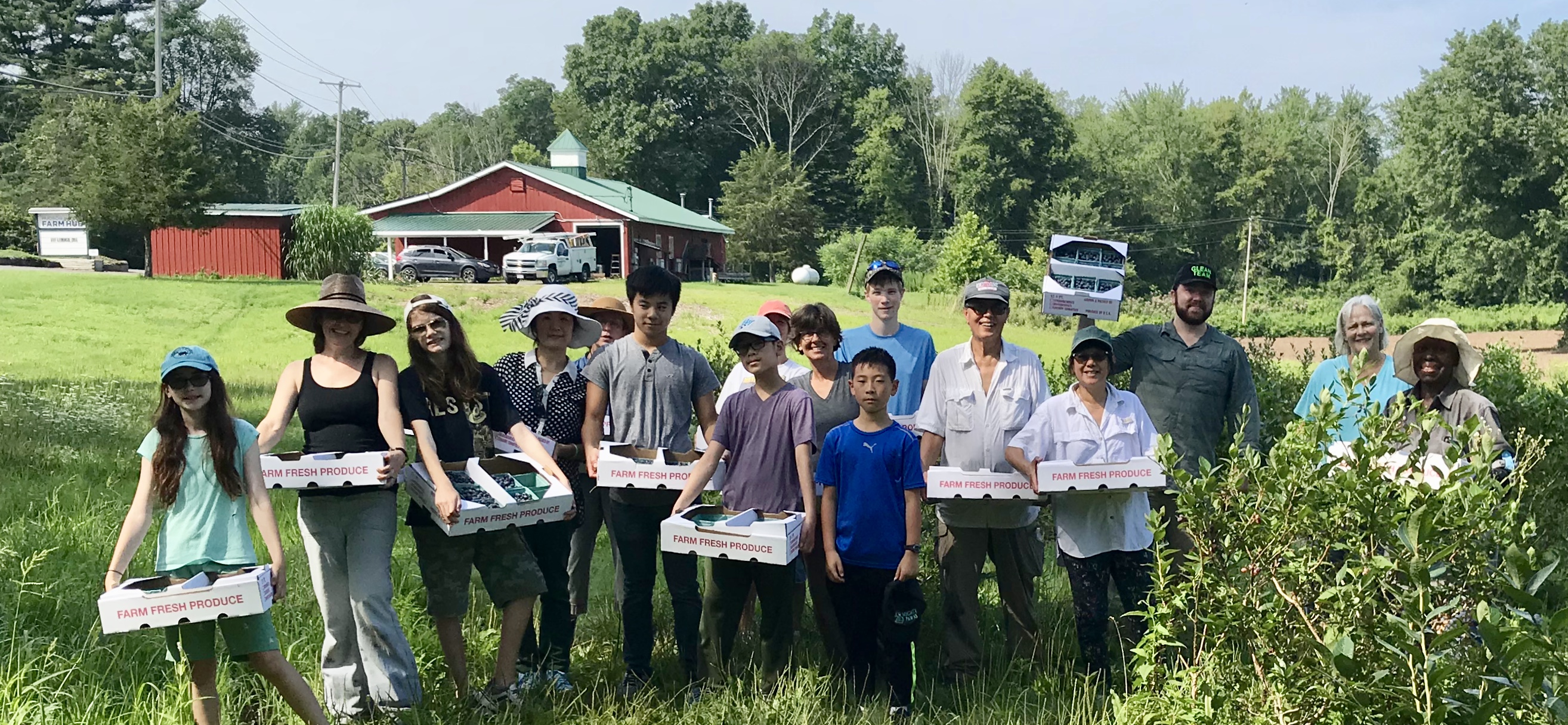 Farm to Food Pantry Blueberry Gleaning