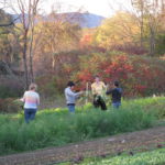 Farm to Food Pantry Field Gleaning