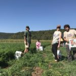 Farm to Food Pantry Carrot Soup Processing