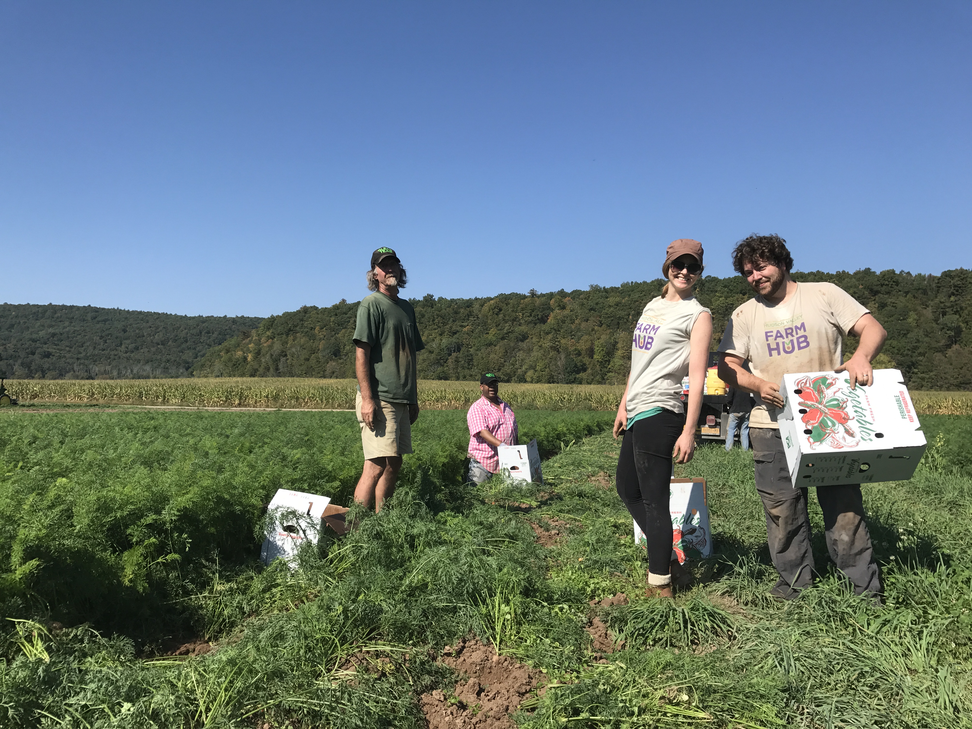 Farm to Food Pantry Carrot Soup Processing