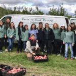 Farm to Food Pantry Apple Gleaning