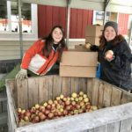 Farm to Food Pantry Apple Processing