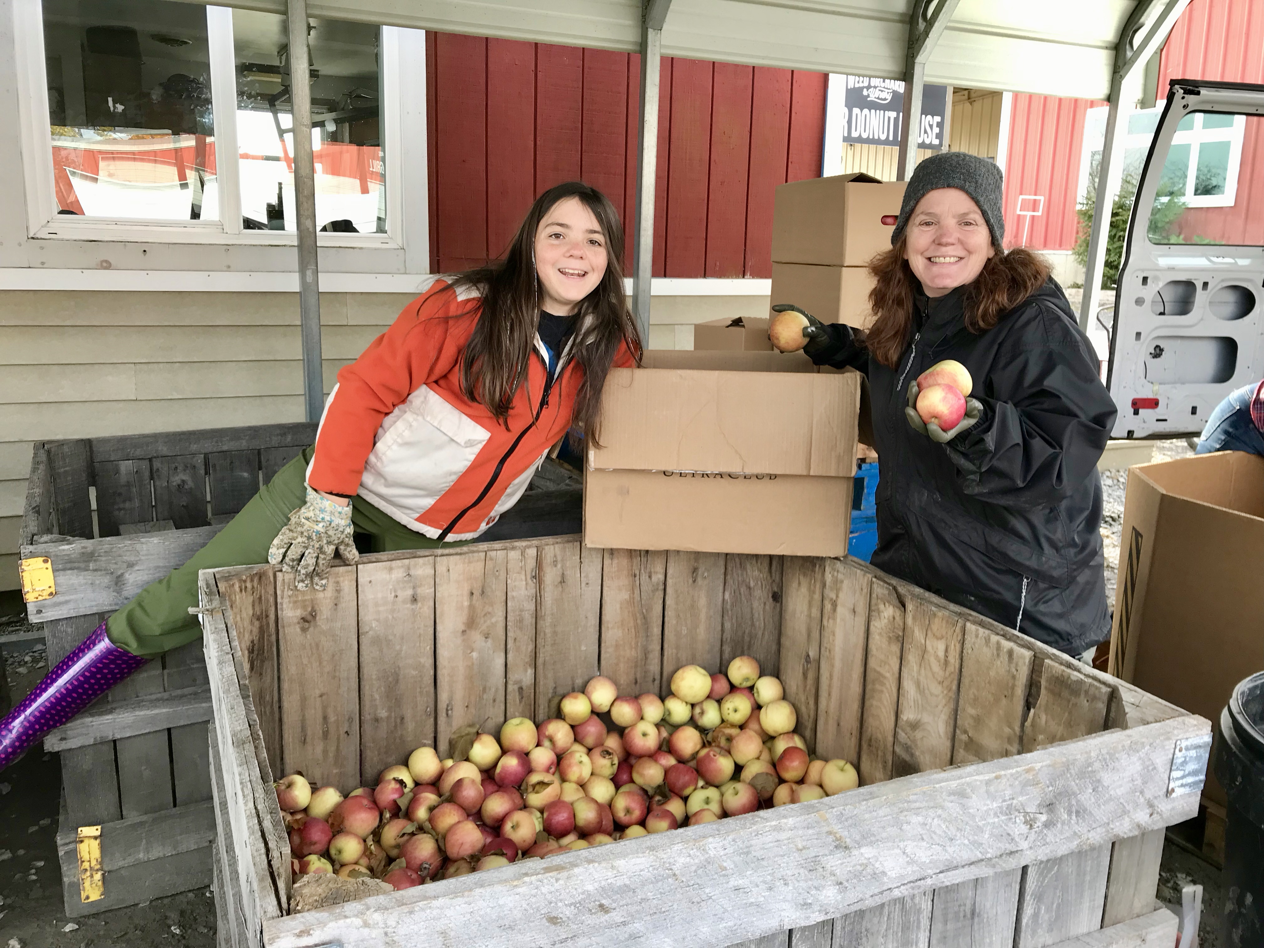 Farm to Food Pantry Apple Processing