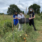 Farm to Food Pantry Field Gleaning