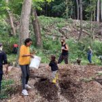 Kingston Land Trust Fall Volunteer Days