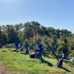 Farm to Food Pantry Apple Gleaning