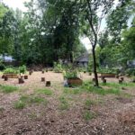 Volunteer morning at African Burial Ground