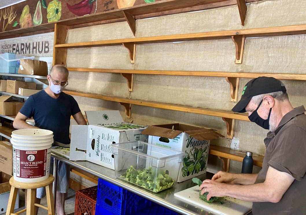 Farm to Food Pantry Collaborative Broccoli Processing