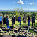 Farm to Food Pantry Apple Gleaning