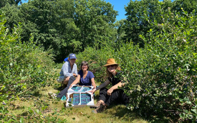 Farm to Food Pantry Blueberry Gleaning