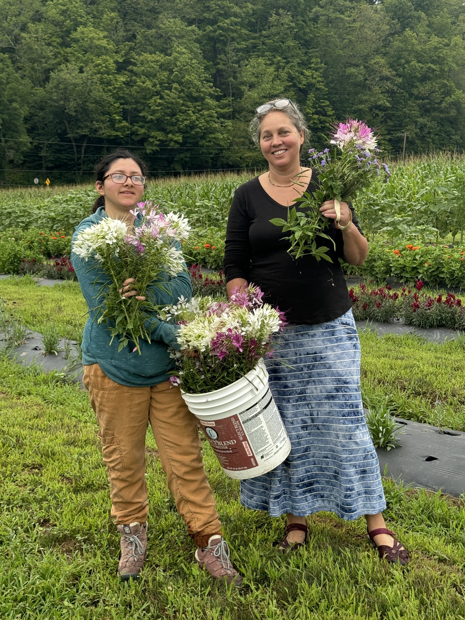 Farm to Food Pantry Flower Gleaning