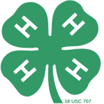 Ulster County 4-H Volunteer Opportunity