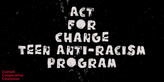 CCE Act for Change Teen Anti-racism Program train-the-trainer series