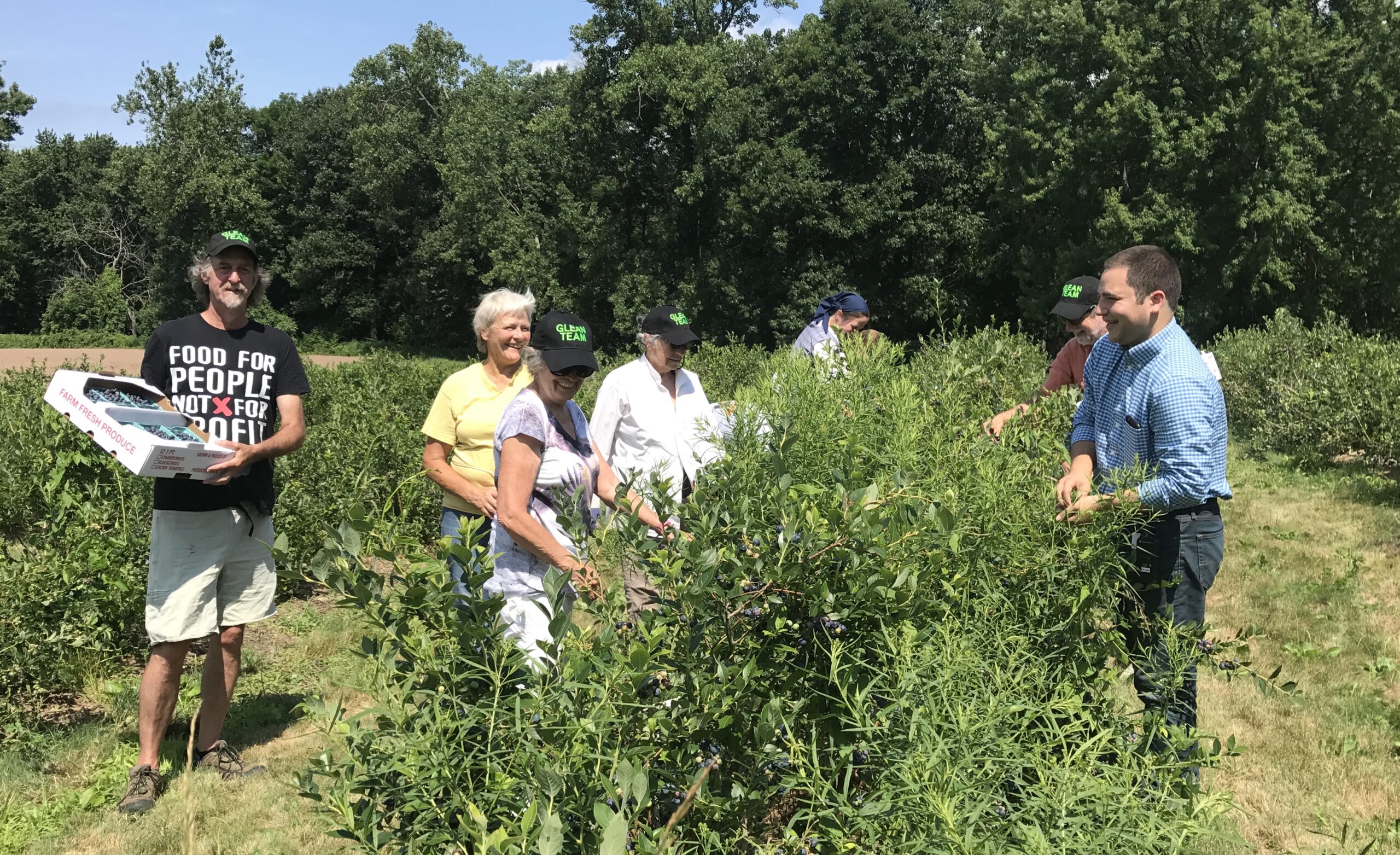 Farm to Food Pantry Blueberry Gleaning