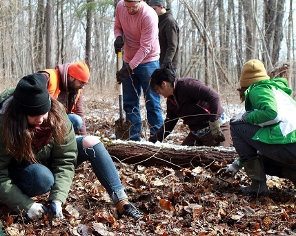 Help Us Manage Invasive Plants on Joppenbergh Mountain!