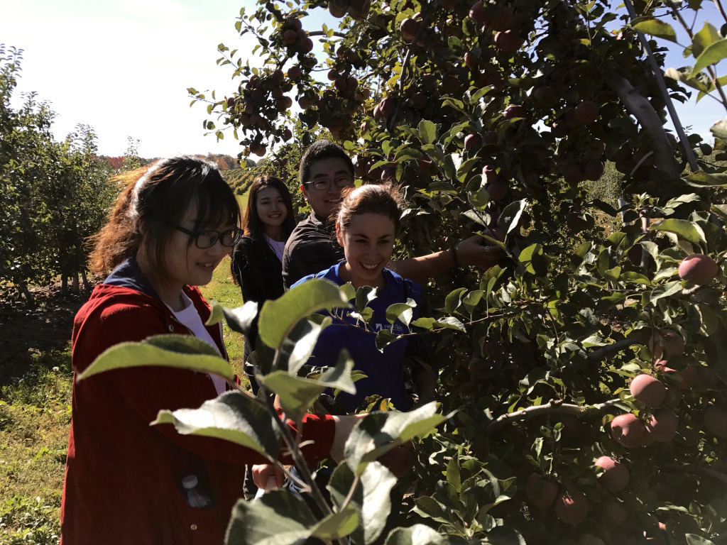 Farm to Food Pantry Apple Gleaning