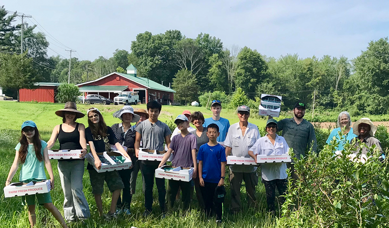 Farm to Food Pantry Blueberry Gleaning