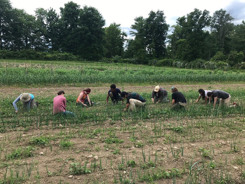 Volunteer Day at Phillies Bridge Farm Project