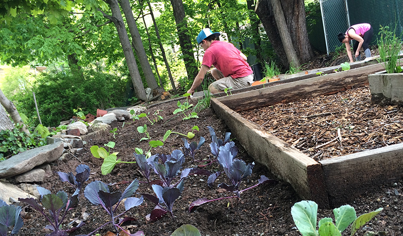 Family of Ellenville Community Garden Work Day