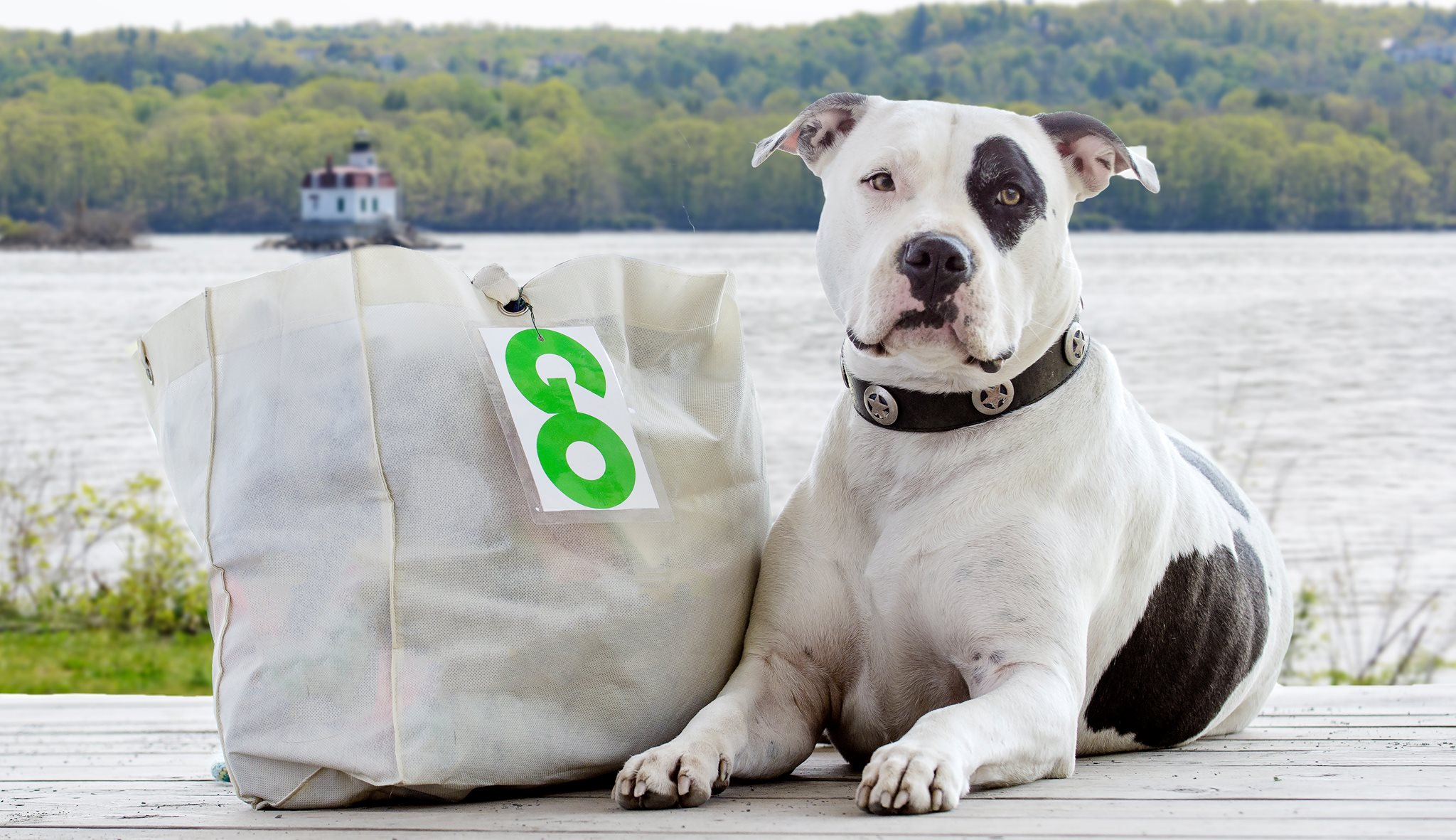 Ulster County Animal Response Team (UCART) Meeting