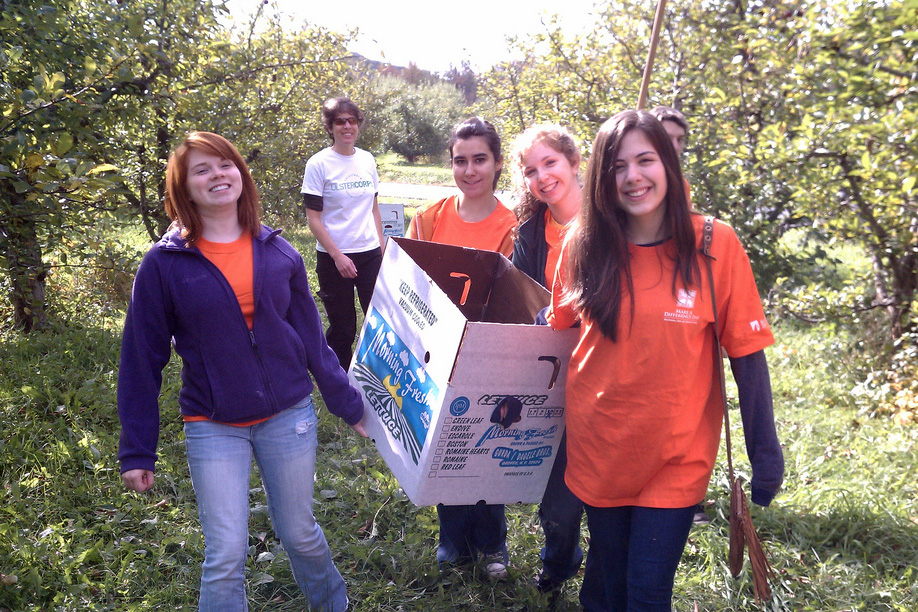 Feeding the Hudson Valley Field Gleaning