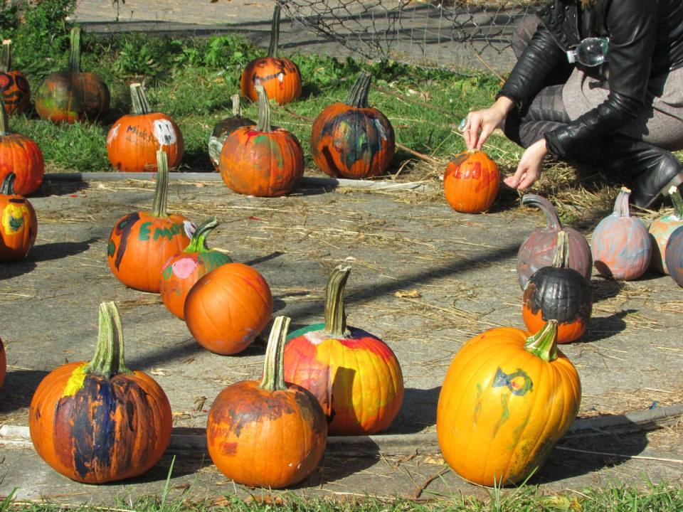 Forsyth Nature Center Fall Festival