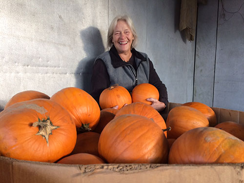 Farm to Food Pantry Pumpkin Processing