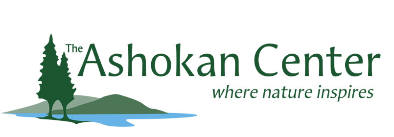 Ashokan Center Community Work and Play Day