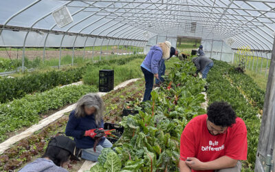 FOOD SECURITY & ACCESS RELATED VOLUNTEER OPPORTUNITIES
