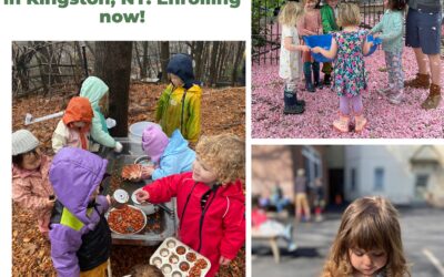 Livingston Street Early Childhood Community seeks new Board Members