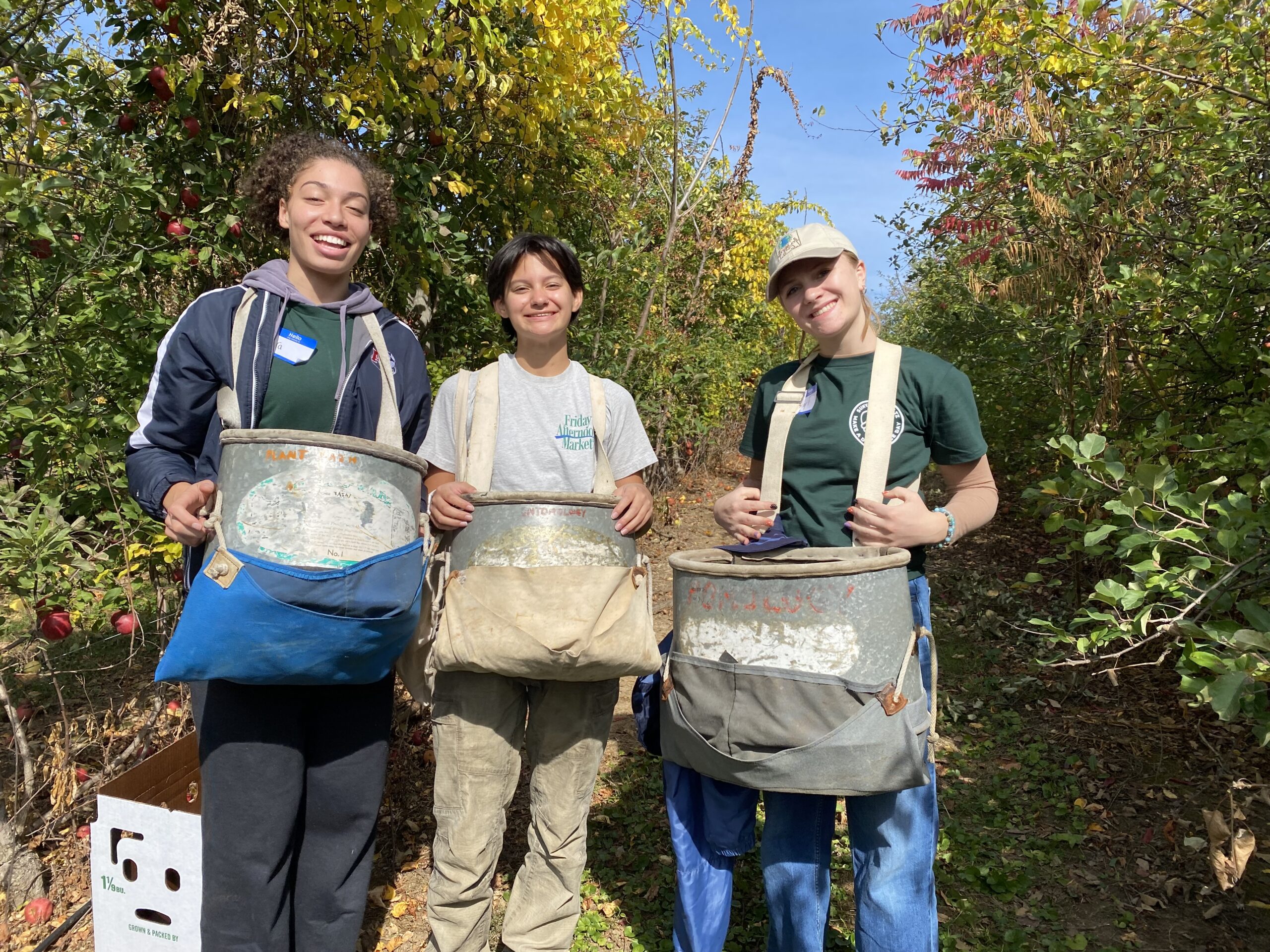 Farm to Food Pantry Apple Gleaning